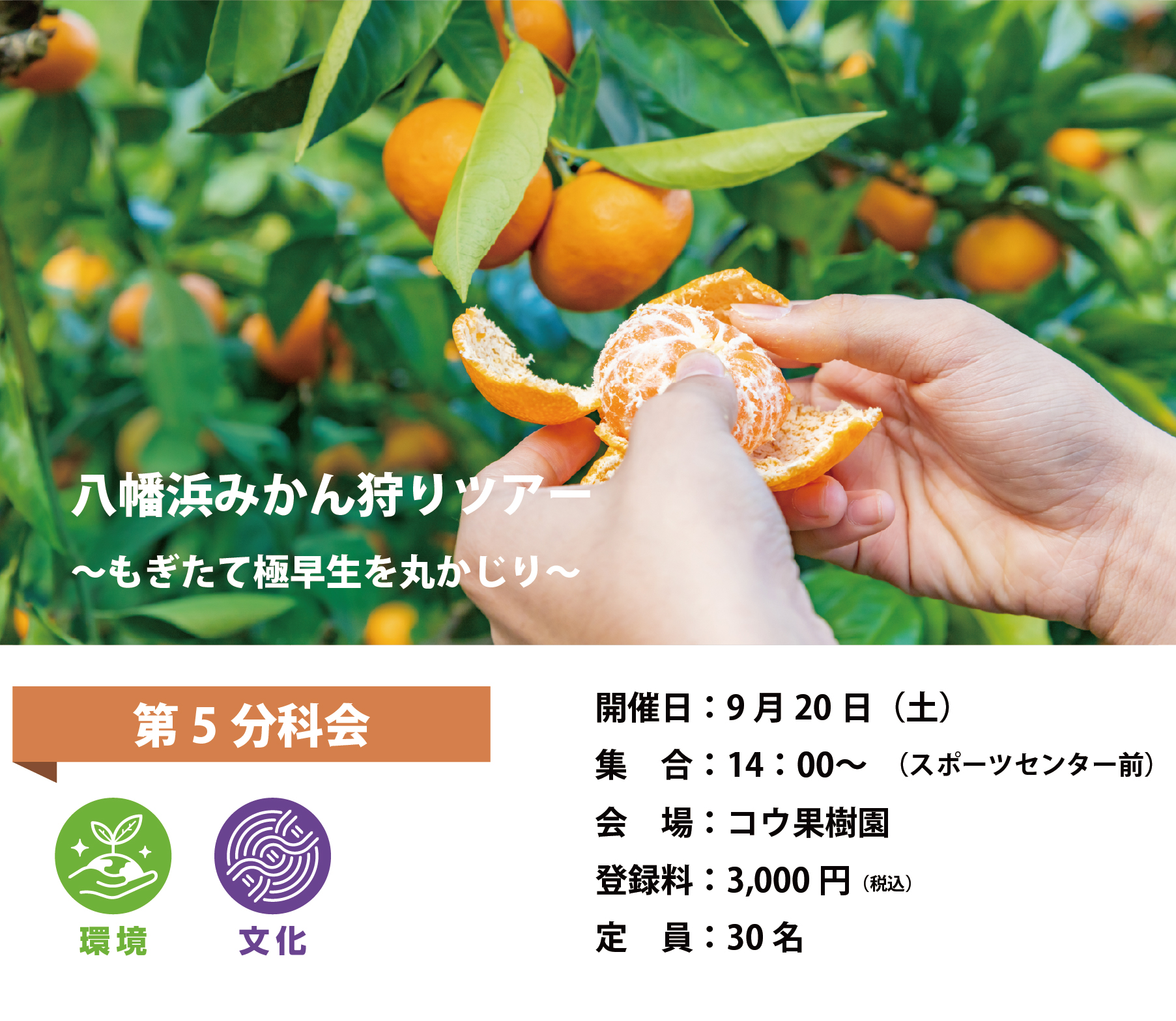 分科会　第42回 四国ブロック大会八幡浜大会